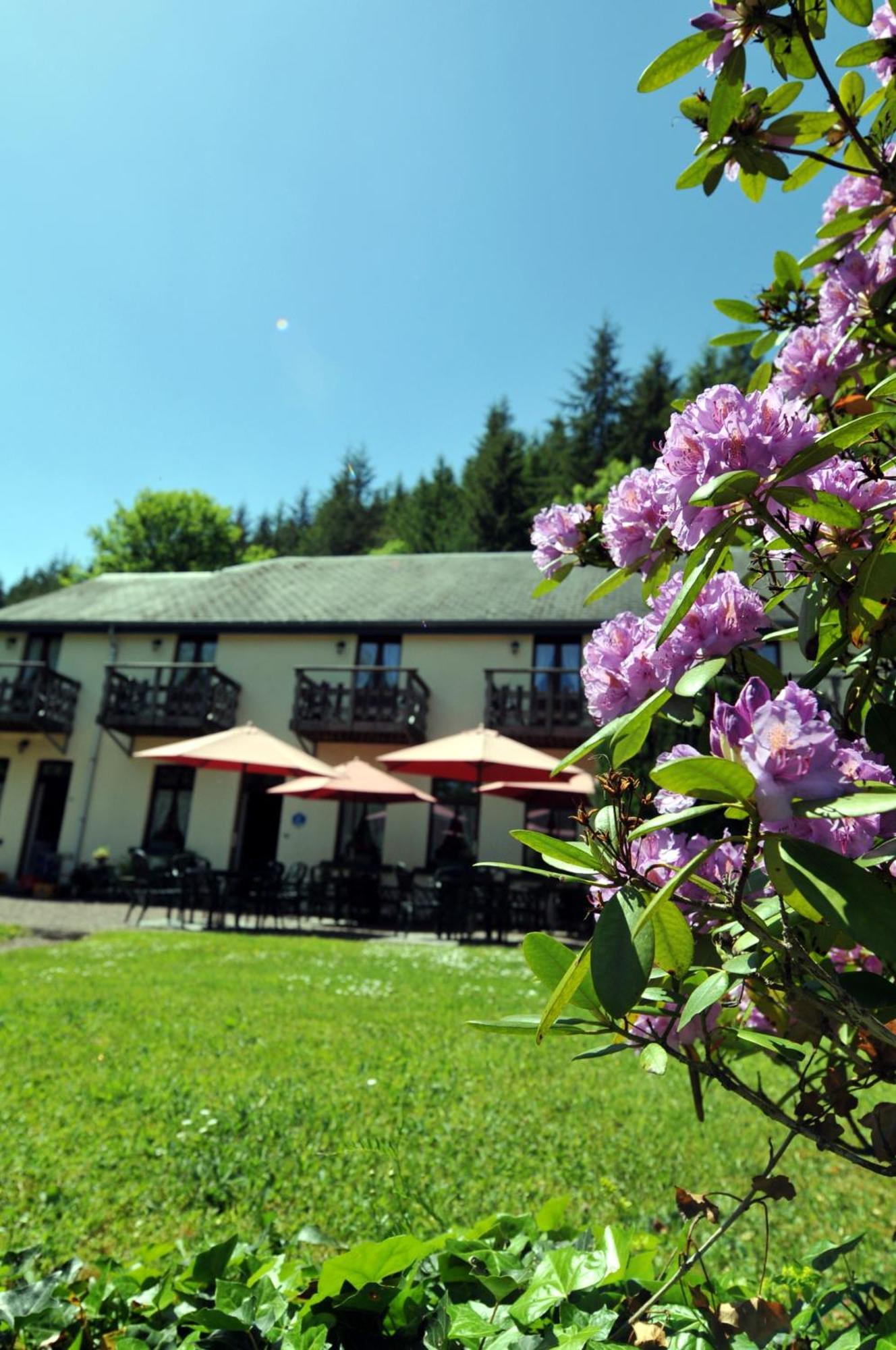 Hotel Gai-Sejour La-Roche-en-Ardenne Esterno foto